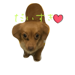 moka everyday 3