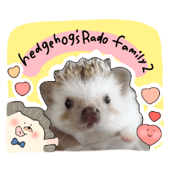 Hedgehog's Rado family2