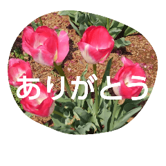 flowers message