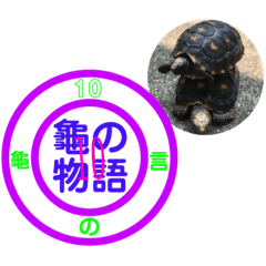 Turtle Story 10