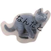 mironokurashi
