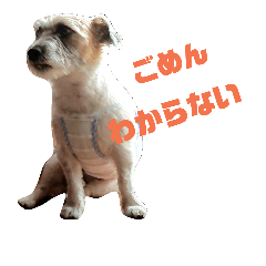 ozekingfamily Z
