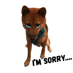Max, Shibainu