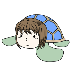 RUI TURTLE