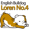 EnglishBulldogภาษาอังกฤษบูลด็อกฝรั่งเศส4