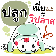 Plook , Chat Massages