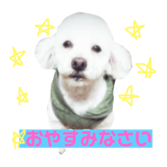 my.SORA
