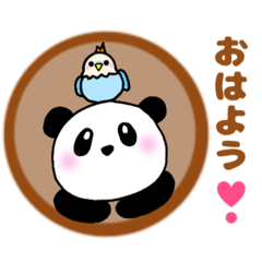 panda daily greeting