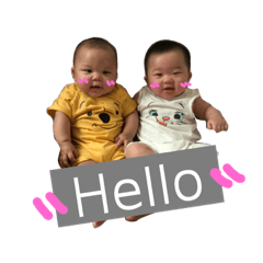 小青緋緋 v.2.0