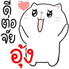 I am AUNG : Cat 1