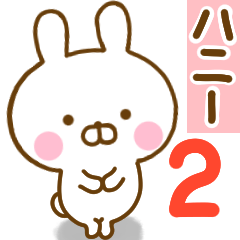 Rabbit Usahina Honey 2