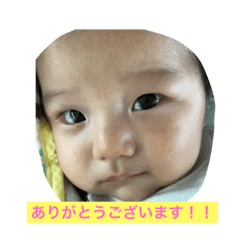 kota 2