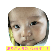 kota 2