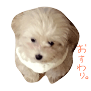 Marron (It's rather little.)