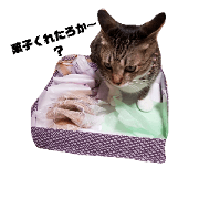 MyfamilyANIMALSTAMP