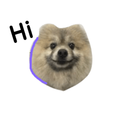 かわいい犬犬 Line スタンプ Line Store かわいい犬犬 Line スタンプ Line Store