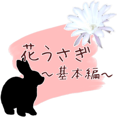 Flowers and the Silhouettes of Rabbits 2