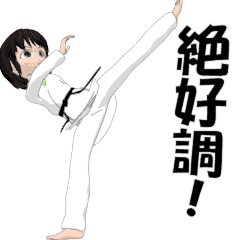 Women's Karate sticker
