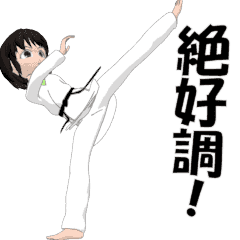 Women's Karate sticker