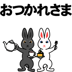 The black rabbit and the white rabbit