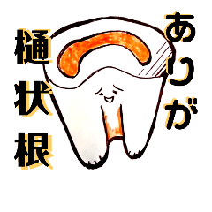 dental technical terms in japanese,part2