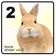 tsuna sticker2