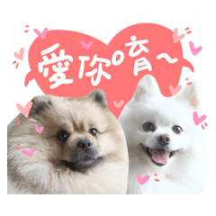 傲嬌公主PONY的甜蜜日常