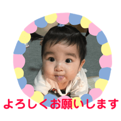 ayu-kun