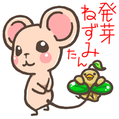 Germination mouse with Chick beans