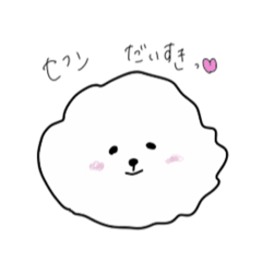 bichon frize`s SEHUN