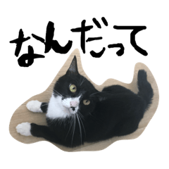 ohamaybe