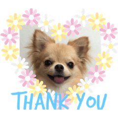 のこに癒されて…