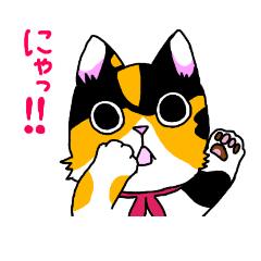 my cat hikari-chan part2