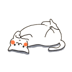 shironeco cat