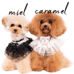 miel&caramel sticker