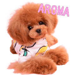 AROMA'S Sticker