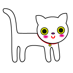 White cat "Shiro"