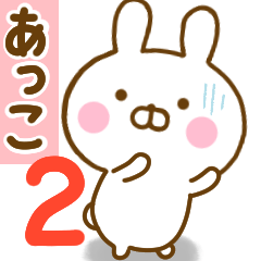 Rabbit Usahina acco 2