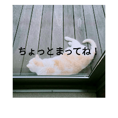 hina.ponta. kome.mugi