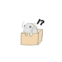 Fish Kunn