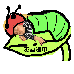 KIYOTO4