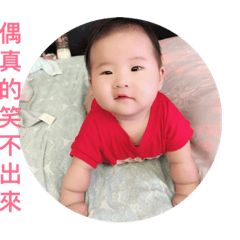 巧雞腿的日常