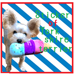 Sticker of a Yorkshire terrier12