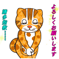 Taiwan_Leopard_cat's debut v2