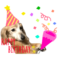 Dog stamp*raimu*
