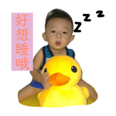 倫倫的日常表情