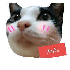 Samun