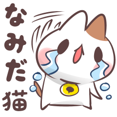 Tearful cat daily sticker