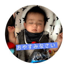 Yuto 2017