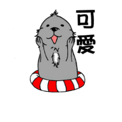 可愛肥肥海獺